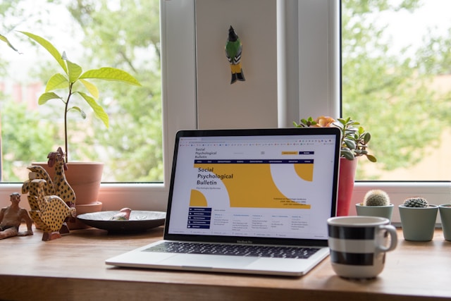Desarrollo Web